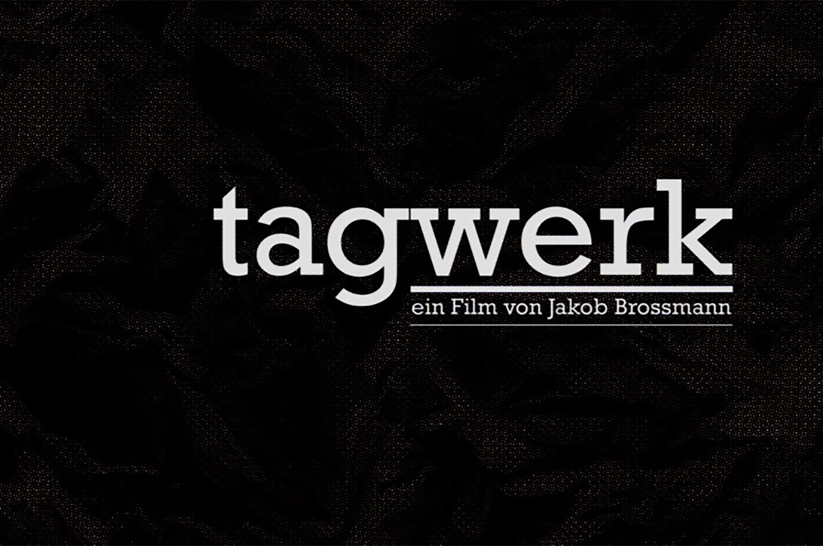 TAGWERK | A DAY’S WORK Cinecert, Ein Film von Jakob Brosmann mit Filmmusik von Johannes Wohlgenannt, 2015